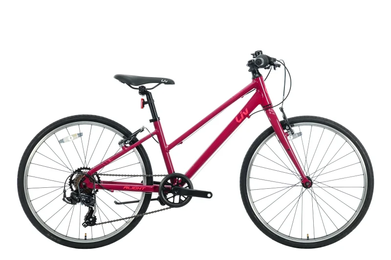 2021 liv alight 24 girl s bike one size easy returns scaled