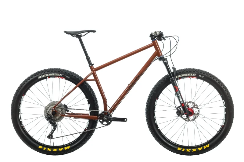 waltworks custom large mountain bike scaled